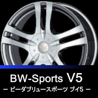 BW-Sports V5